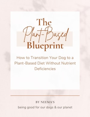 Plant-Based Blueprint: How to Transition Your Dog to a Plant-Based Diet Without Nutrient Deficiencies