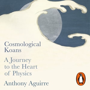 Cosmological Koans