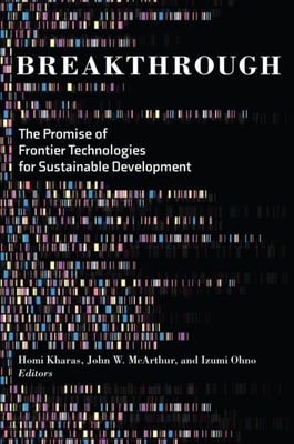 Executive Policymaking