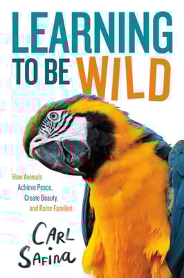 Learning to Be Wild (A Young Reader's Adaptation)