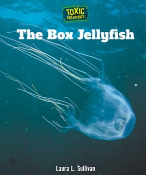 Box Jellyfish