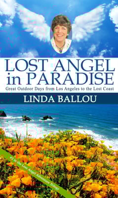 Lost Angel in Paradise