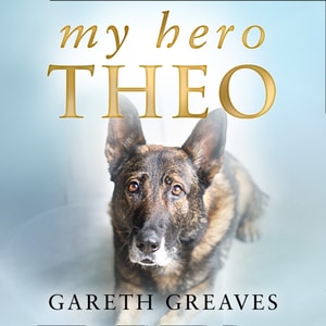 My Hero Theo