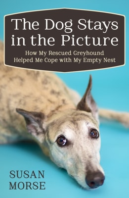 Dog Stays in the Picture