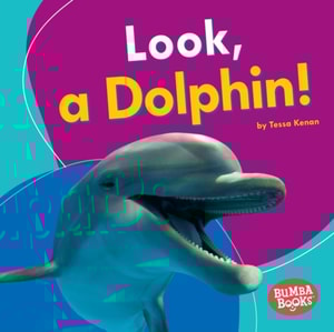 Look, a Dolphin!
