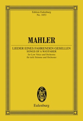 Lieder eines fahrenden Gesellen