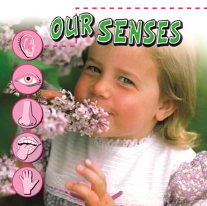 Our Senses