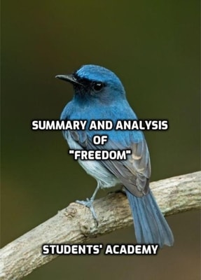 Summary and Analysis of &quote;Freedom&quote;