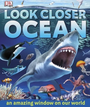 Look Closer Ocean