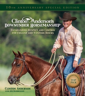Beyond Horse Massage