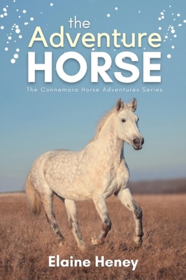 Adventure Horse - Book 5 in the Connemara Horse Adventure Series for Kids