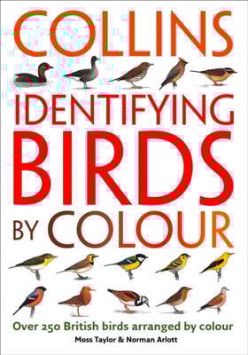 Identifying Birds by Colour