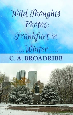 Wild Thoughts Photos:  Frankfurt in Winter