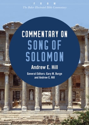 Commentary on John