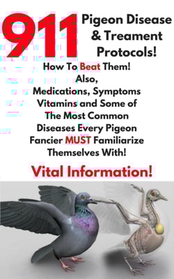 911 Pigeon Disease & Treatment Protocols!