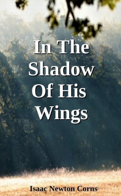 In The Shadow Of His Wings