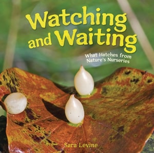 Watching and Waiting