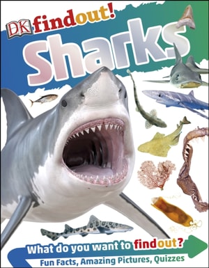 DKfindout! Sharks
