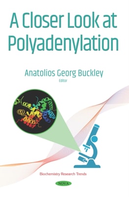 Closer Look at Polyadenylation