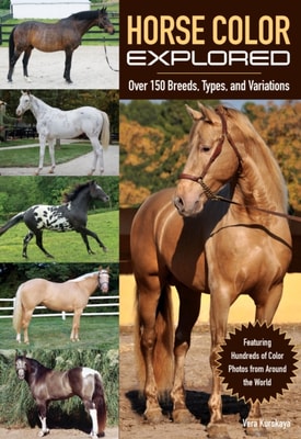 Horses Came First, Second and Last
