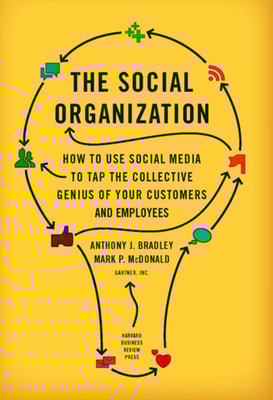 Social Organization