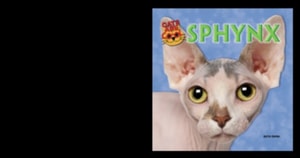 Sphynx