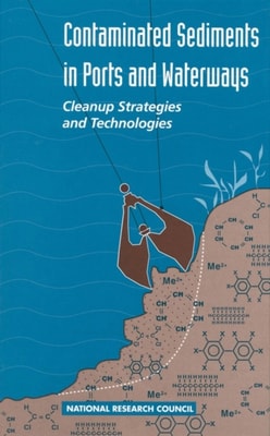 Conflict and Cooperation in National Competition for High-Technology Industry