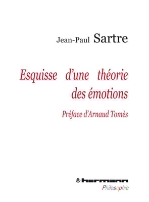 Esquisse d'une théorie des émotions