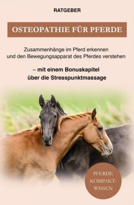 Osteopathie für Pferde