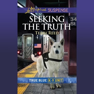 Seeking The Truth