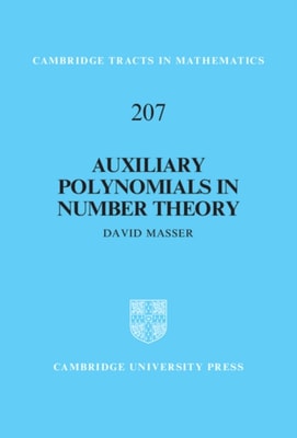 Auxiliary Polynomials in Number Theory