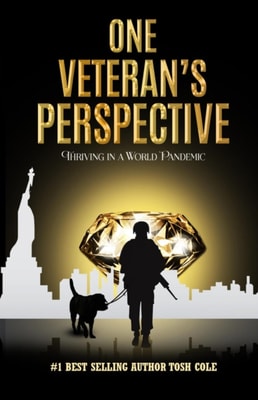 One Veteran's Perspective