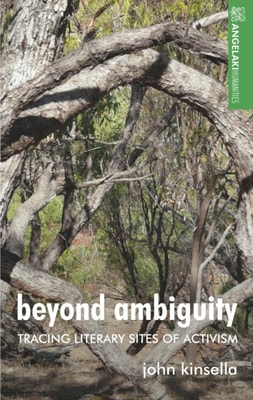 Beyond ambiguity