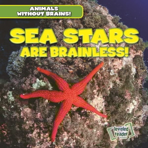 Sea Stars Are Brainless!
