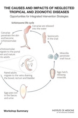 Causes and Impacts of Neglected Tropical and Zoonotic Diseases