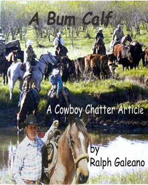 Bum Calf   A Cowboy Chatter Article