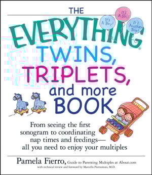 Everything Twins, Triplets, and More Book