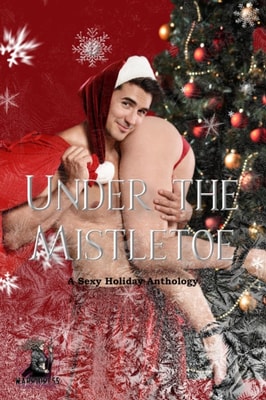 Under the Mistletoe Anthology