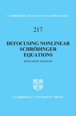 Defocusing Nonlinear Schrodinger Equations