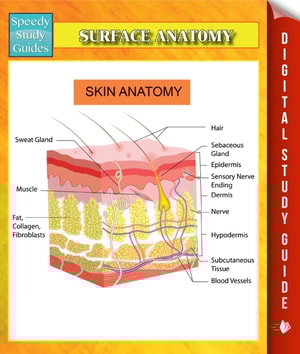 Surface Anatomy Speedy Study Guides