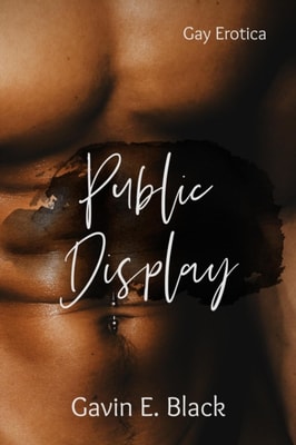 Public Display: Gay Erotica