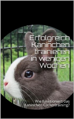 Erfolgreich Kaninchen trainieren in wenigen Wochen