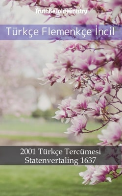Türkçe Flemenkçe İncil
