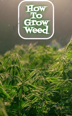 Marijuana Cultivation Guide