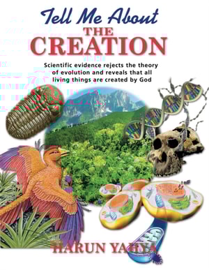 Tell Me About the Creation