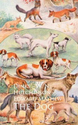 Dog - Dinks