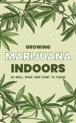 Growing Marijuana Indoors in Small Space From Start to Finish