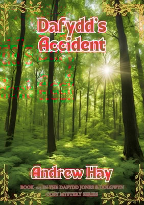 Dafydd's Accident