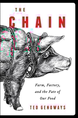 Chain
