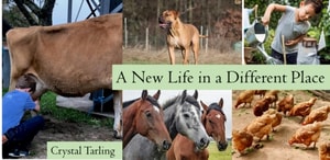 New Life in a Different Place